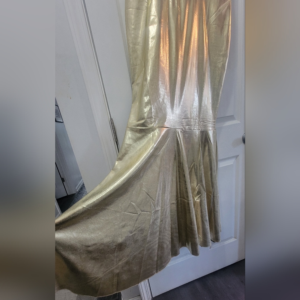 Gold Metallic Dress by Loragal. XL - Picture 4 of 7